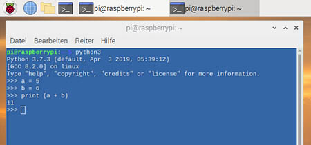 Python mit Terminal